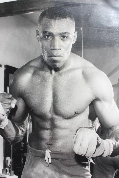 maurice core boxer