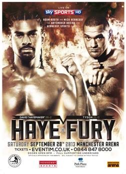 haye fury fight poster