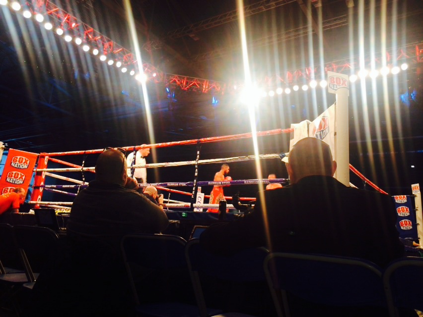 Excel arena boxing